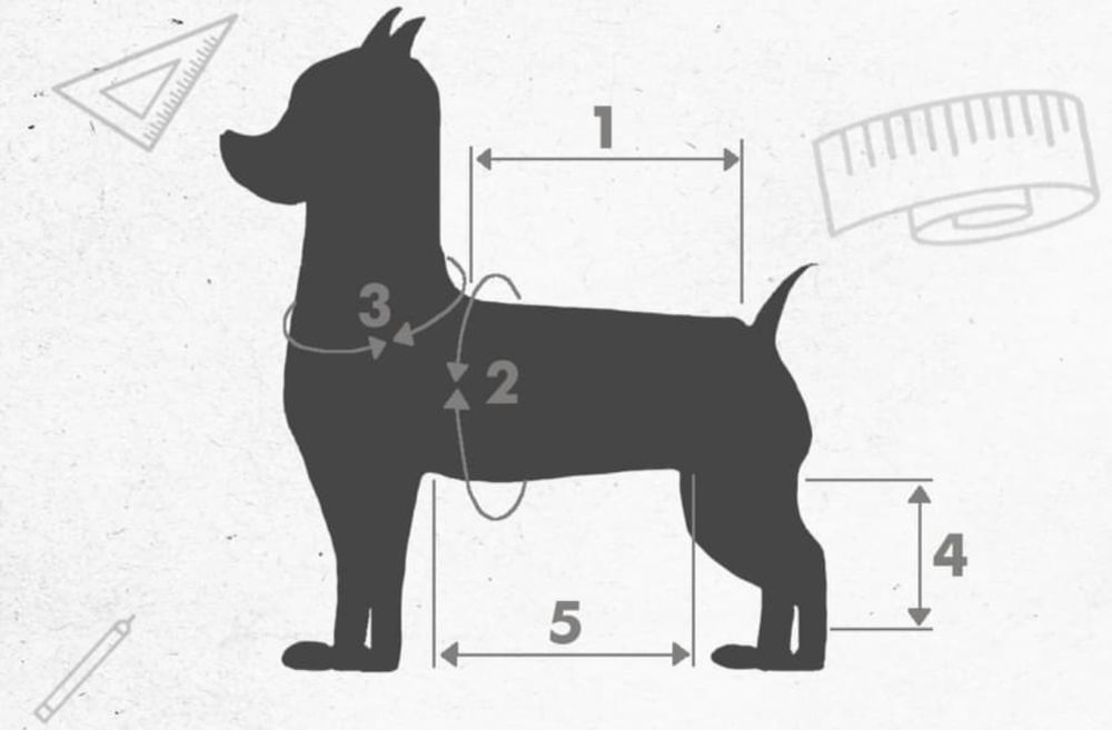Комбінезон для собаки