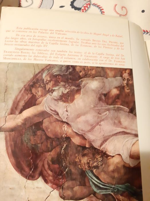 Livro Miguel Angelo