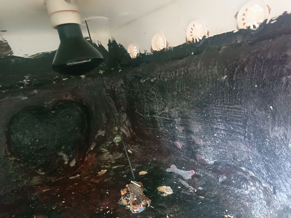 Sprzedam terrarium 120x84 z podwójnym sufitem