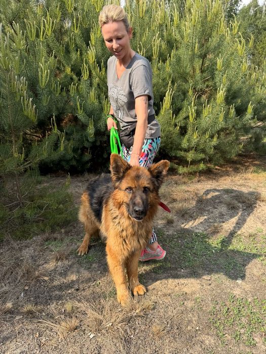 Axel cudo do adopcji
