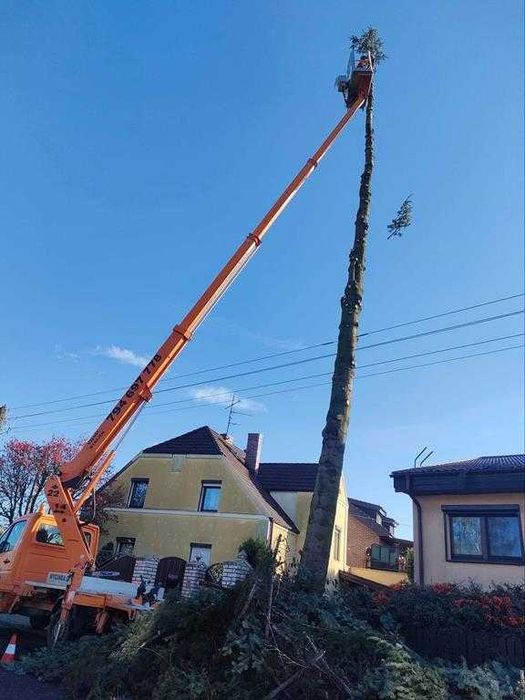 WYCINKA DRZEW frezowanie pni podnośnik koszowy  22m zwyżka rębak