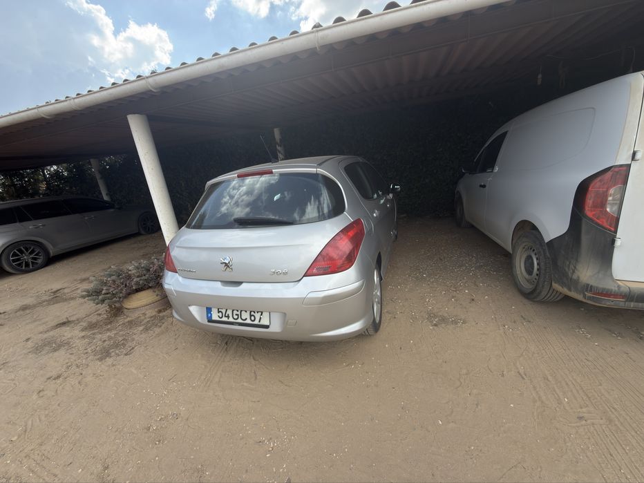 Peugeot 308 1.6 Hdi 110 cv 2008