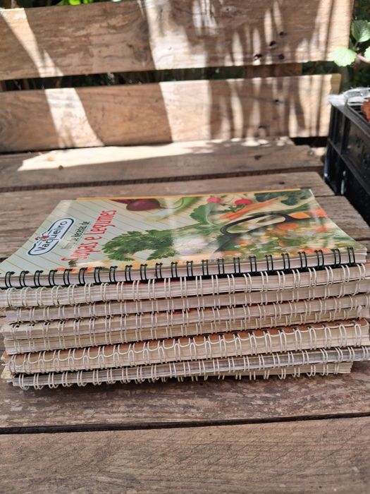 Livros da Vaqueiro, vários