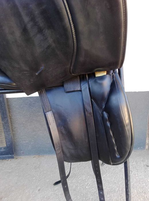 Arreio de Ensino usado