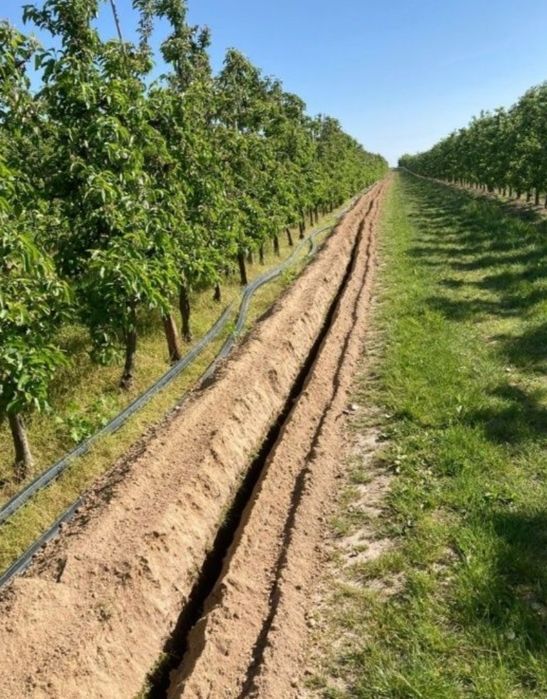 Nawodnienia kompleksowe Wykopy liniowe koparką łańcuchową melioracje.