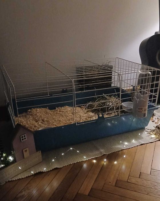 Klatka dla świnki morskiej zolux 80 cm