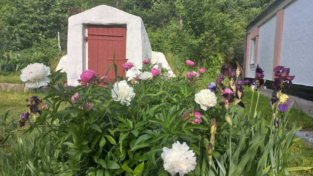 Продам будинок Київська область с. Мисайлівка,річка Рось
