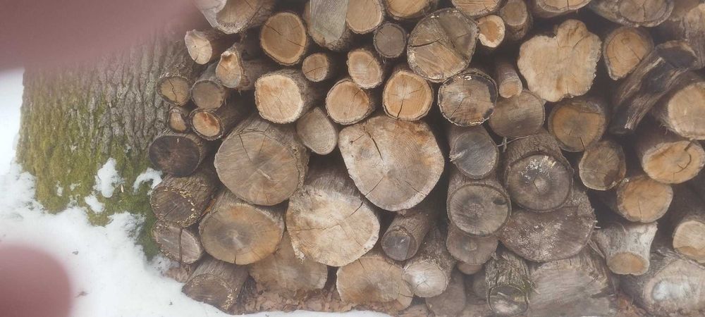 Drewno opałowe DĄB SOSNA OLCHA sezonowane suche