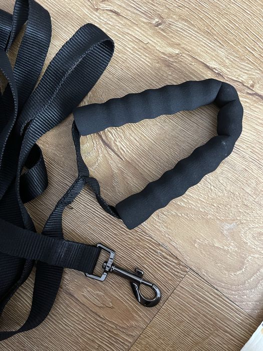 Повідок, повідець для собаки