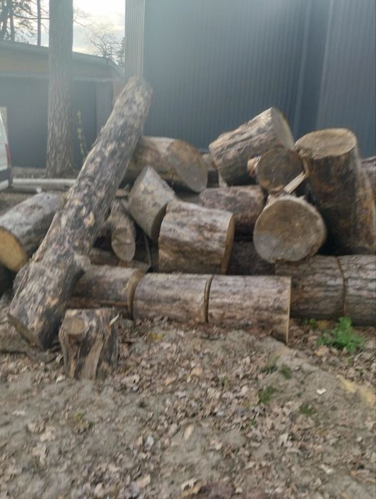 Дрова кругляк, 700грн, самовивіз, доставка