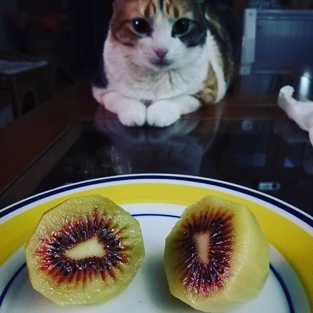 Kiwi Vermelho - MUITO DOCE - Apenas envios