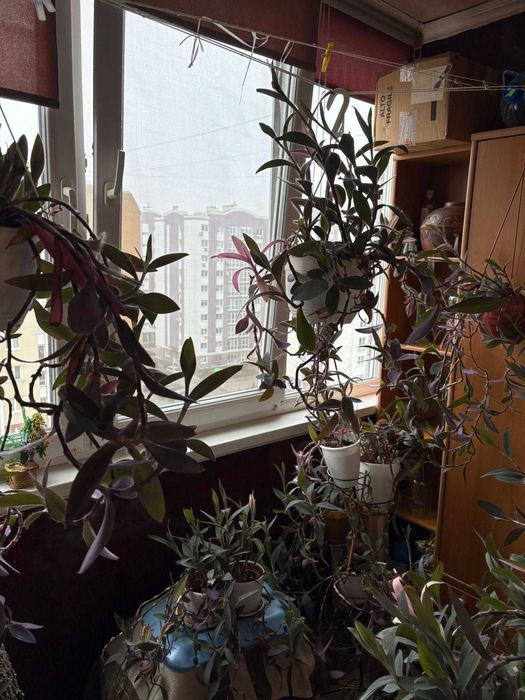 Продаж 1 кім. квартири в м.Вишневе