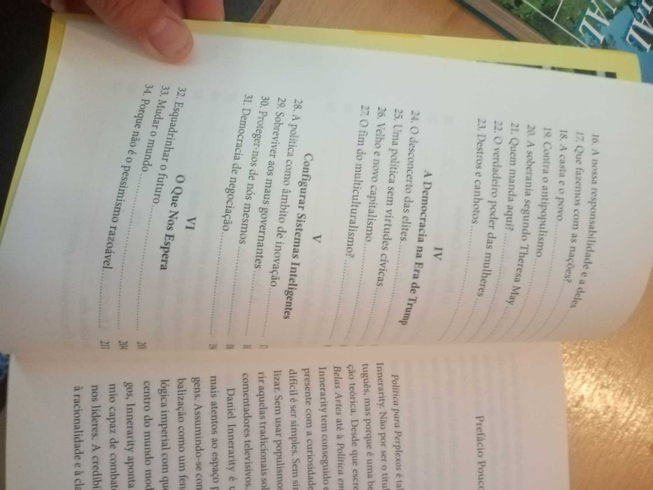 Daniel Innerarity, Política para perplexos