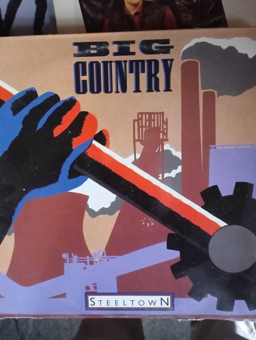 Vendo lote de vinis diversos, em bom estado