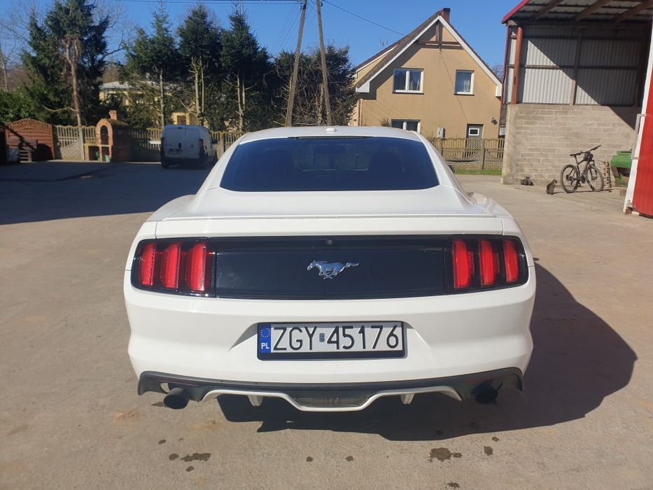 Mustang 2,3 premium
