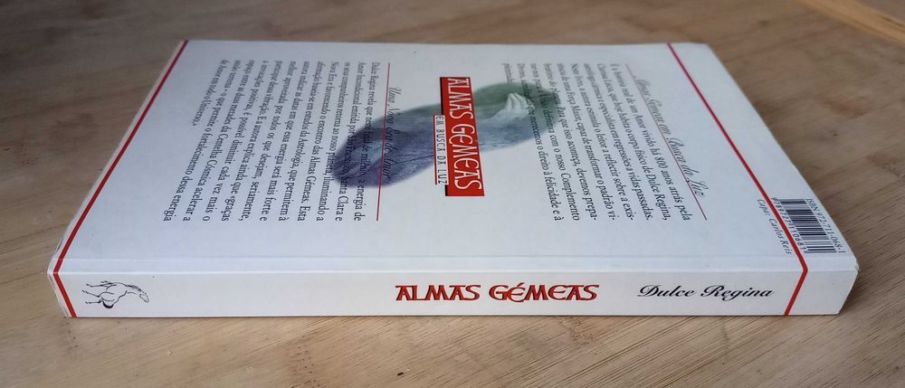 Almas Gémeas (Em Busca da Luz) de Dulce Regina