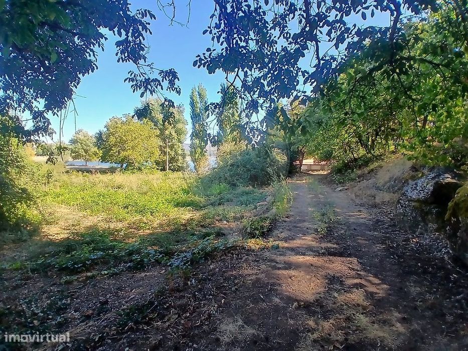 Terreno  para venda — Faia, Viseu