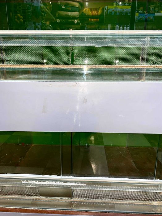 Клетка-витрина для содержания мелких грызунов и птиц