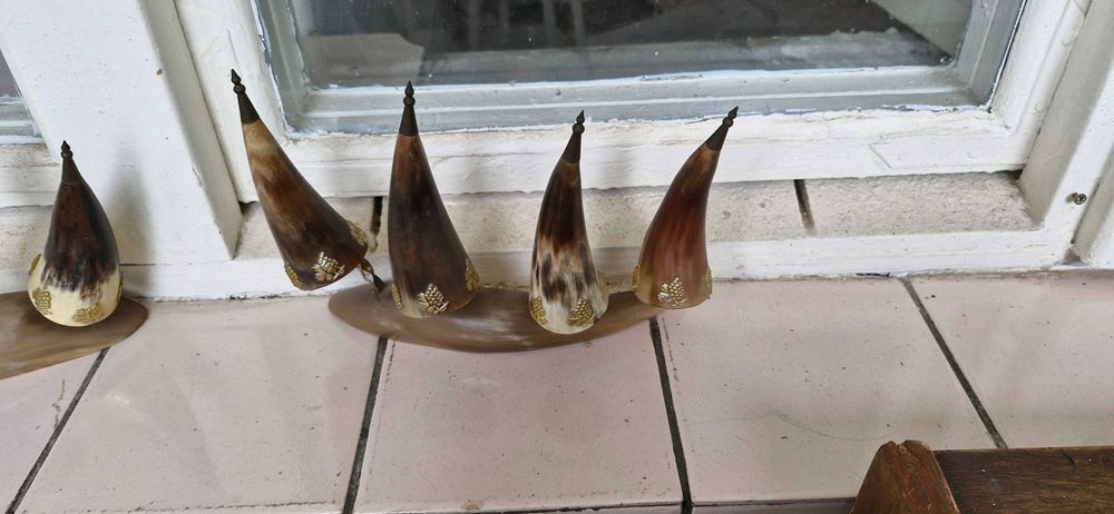 Продам декоративні роги-рюмки