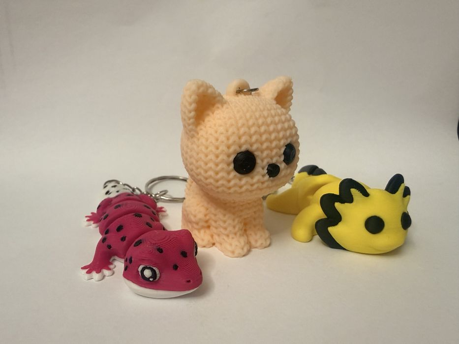 Zestaw gekon  brylok do kluczy