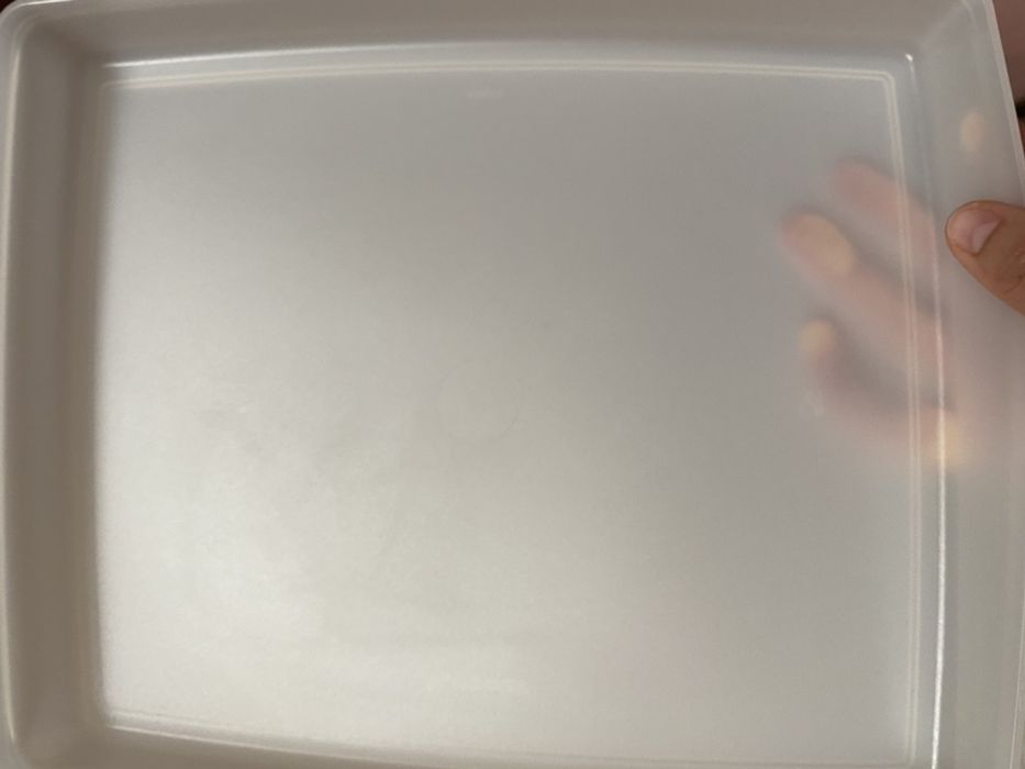 Tupperware para congelaçao rasa 24 x 29 (1.25 lt)