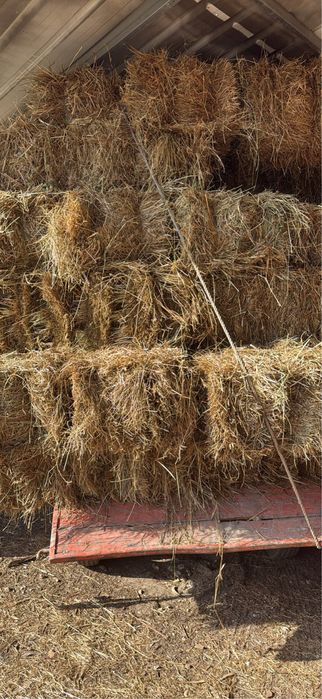 Vendo fardos de palha nova