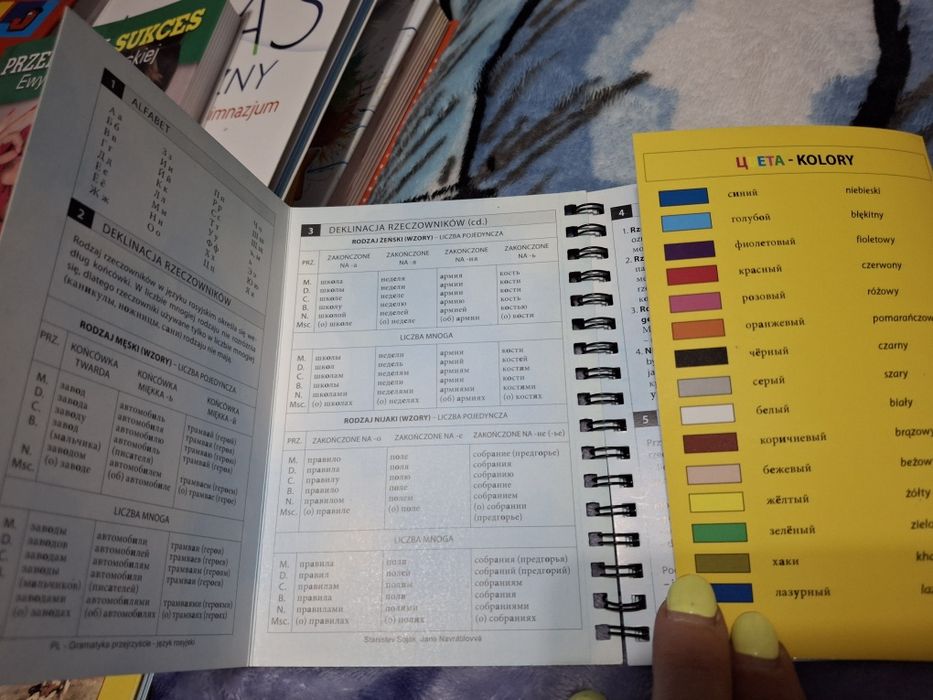 Gramatyka przejrzyście Język Rosyjski