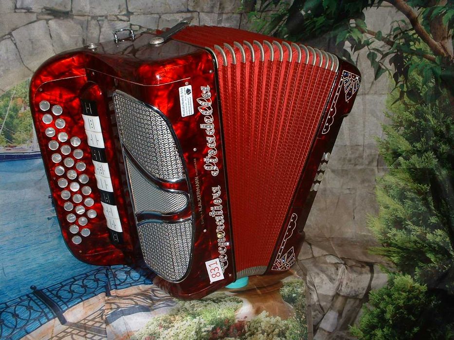 Concertina para venda N,831 Penedono • OLX Portugal
