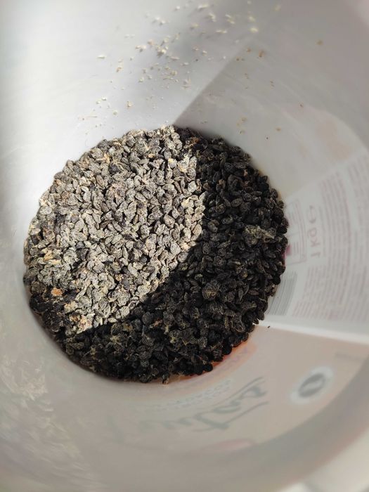 Planta maracujá ou Semente