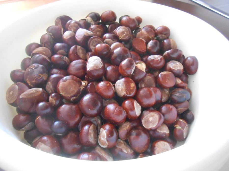 Kasztany (5-6kg)Całość