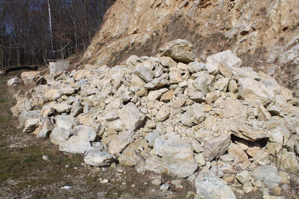 Kwarc ogrodowy biały