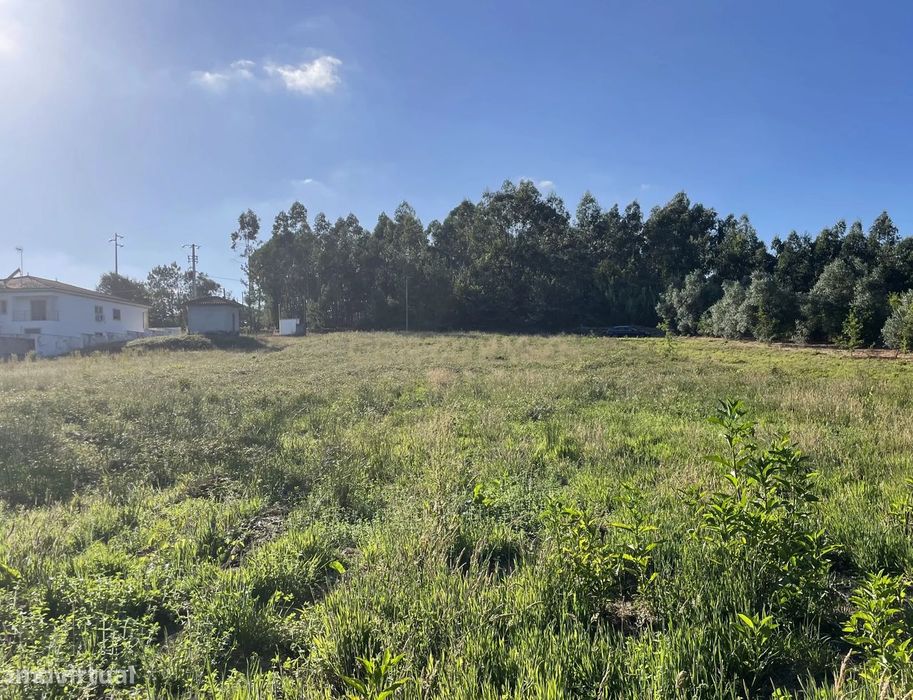 Terreno em Oiã com Vista Campestre, acessos e próximo do centro