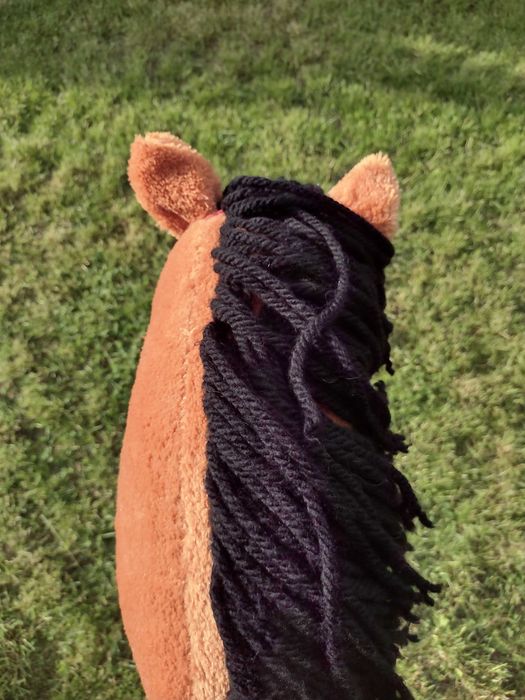 sprzedam hobby horse