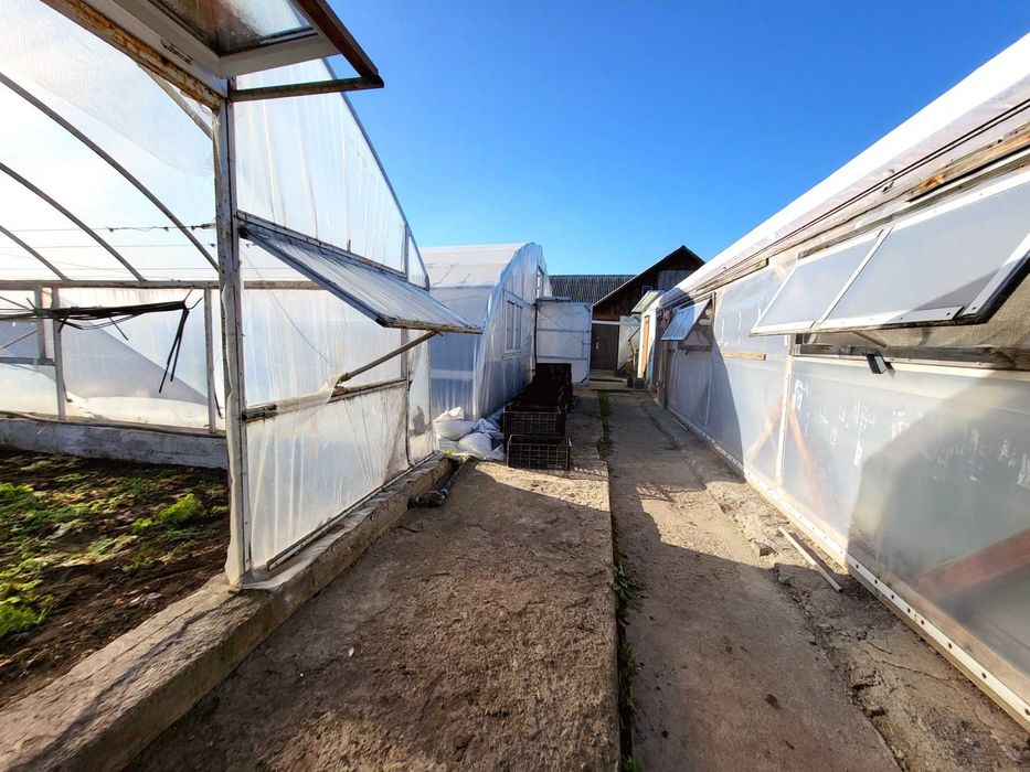 (8) Продається будинок з ділянкою в с. Гавришівка 9890