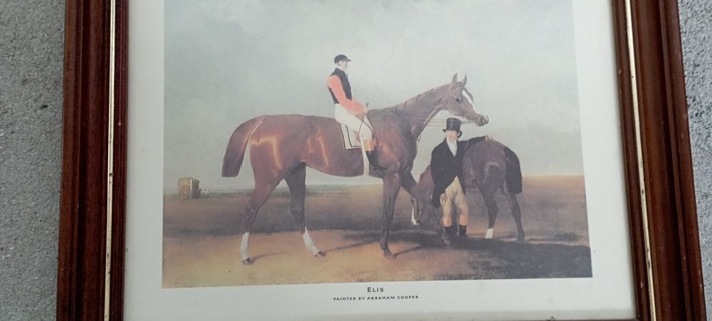 Quadro Cavalo Ellis