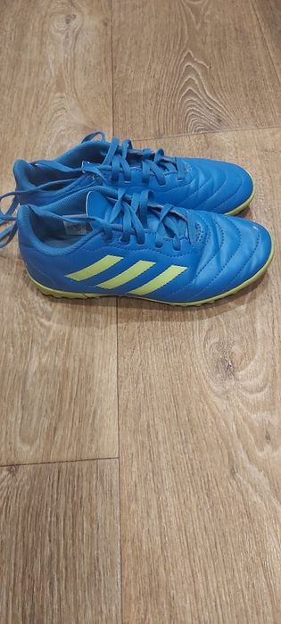 Сороконіжки 33 р