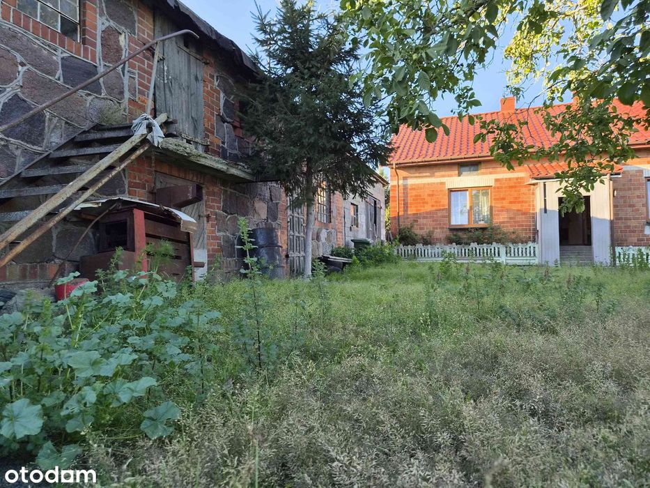Dom – Kaźmierków, powiat gostyniński - Widok 5
