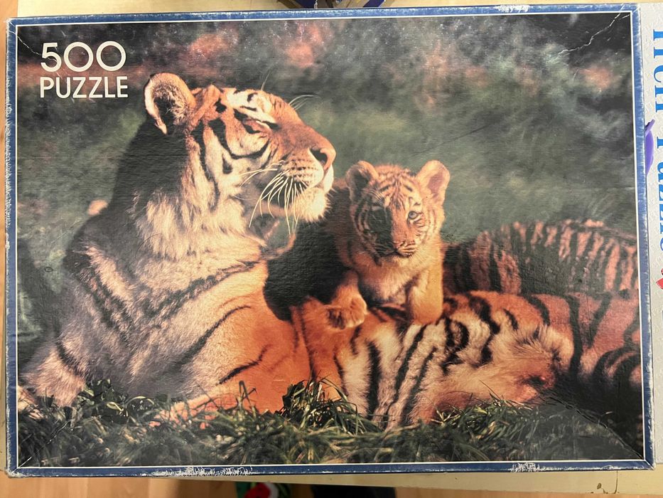 Puzzle Tygrys Syberyjski 500