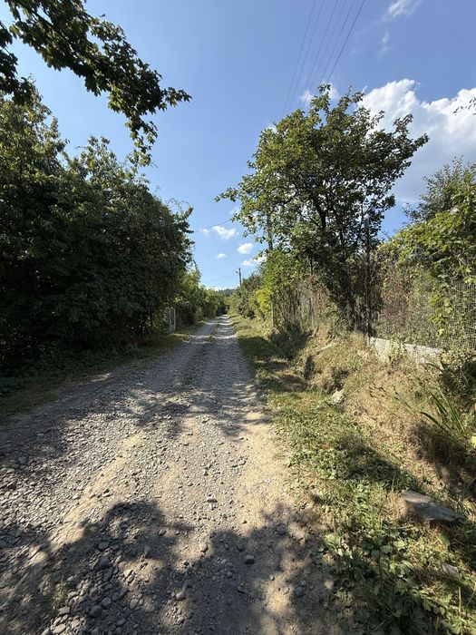 Камʼяниця. Панорамна ділянка біля лісу