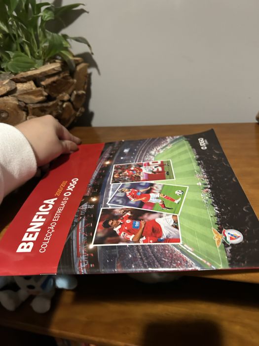 Caderneta sl benfica 2010/2011