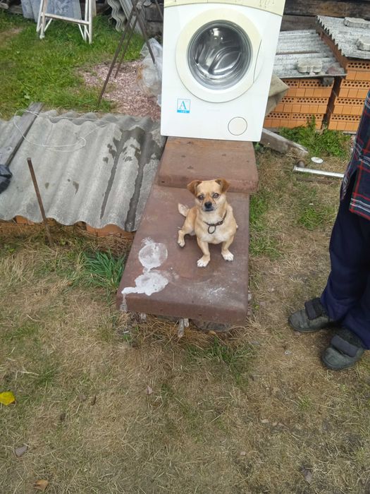 продам стиральную машинку Gorenje WA61081 R