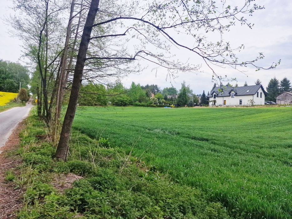 Sprzedam działkę rolno-budowlaną.