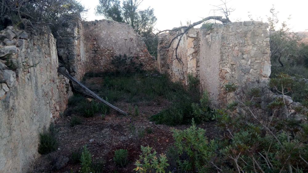 Terreno 4,6 Hect, ruína 120m2, Aldeia dos Matos, Paderne, Albufeira