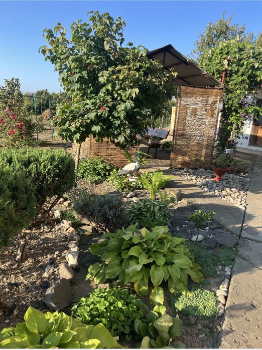 Затишний будинок біля Чорної Гори.