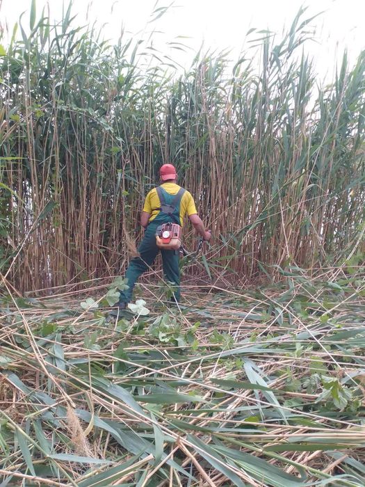 Покос травы, сборка, вывоз скошенного. Уборка участков.