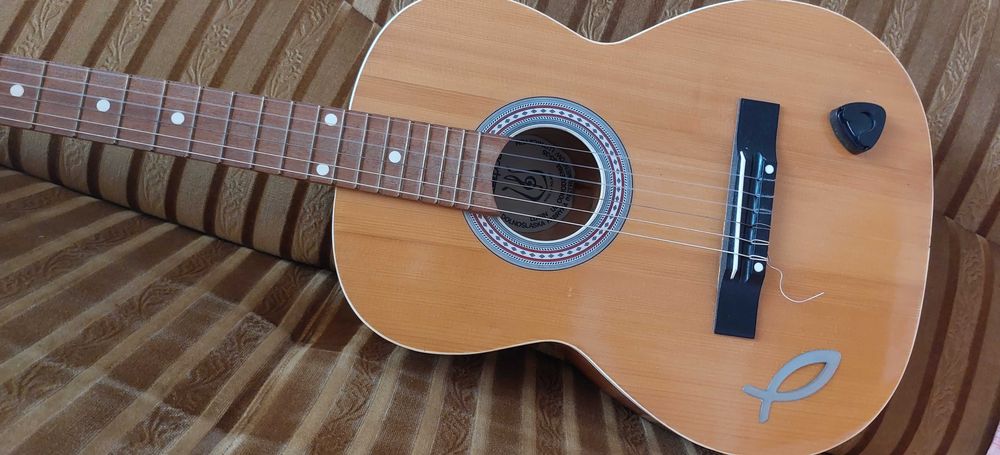 Gitara akustyczna Delfin