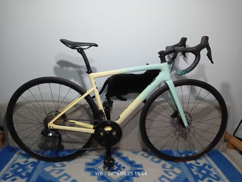 Specialized Tarmac SL6 Sport, nowe Shimano 105 Di2