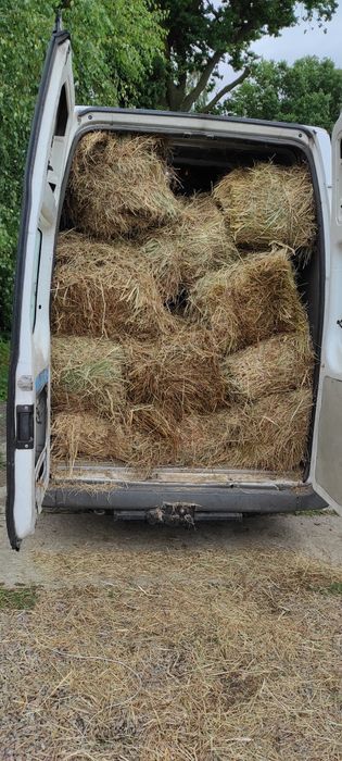 Świeże siano, fajne kostki