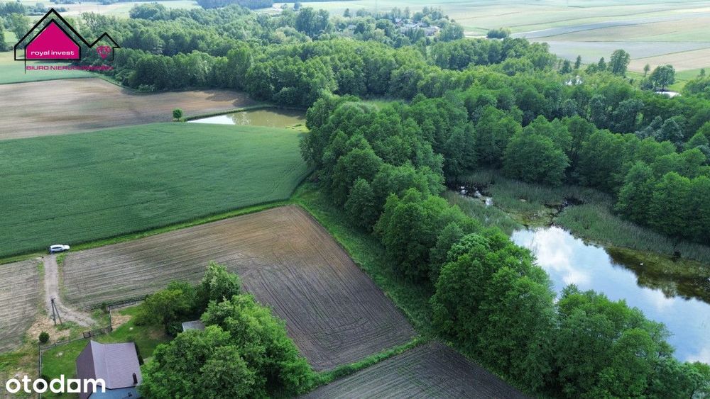 Nowa cena! Działki 1000m2/Dobrosołowo/stawy,