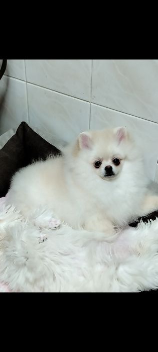 Чудесный ребёнок